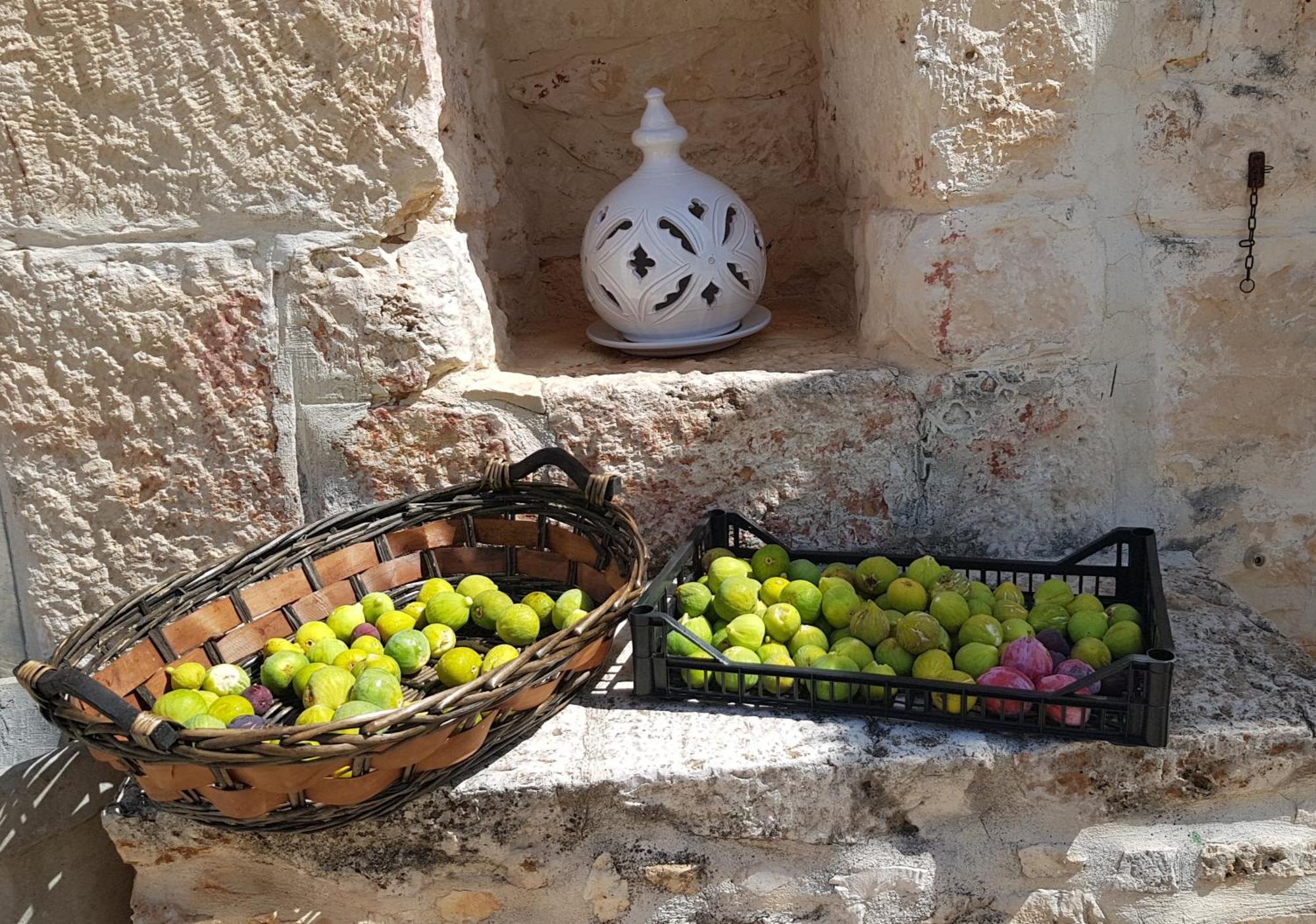 Podere Del Gelso Bianco, Vacation Rental 奥斯图尼 外观 照片