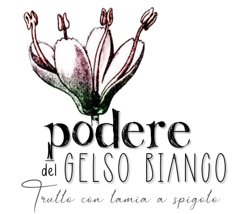 Podere Del Gelso Bianco, Vacation Rental 奥斯图尼 外观 照片